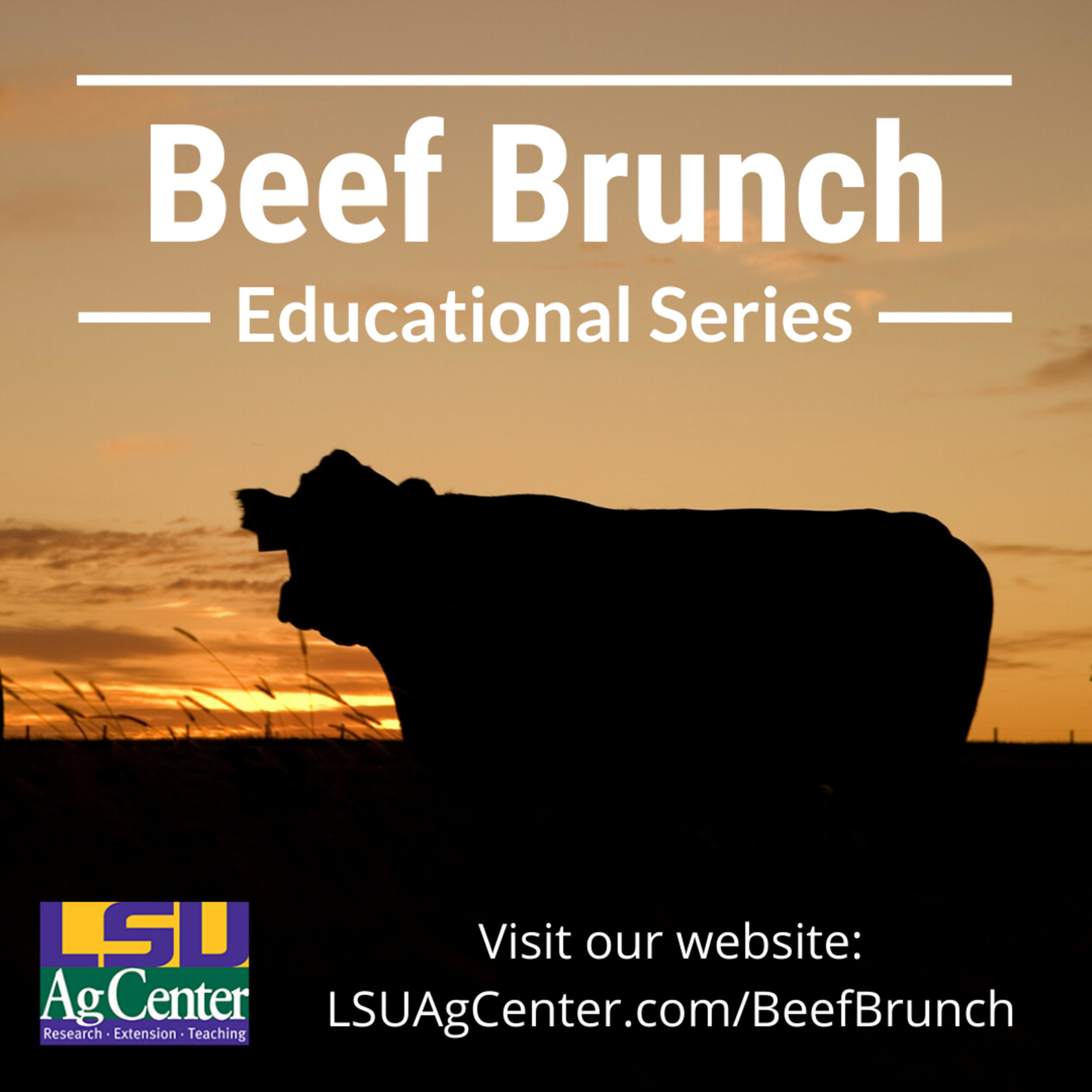 bullhorn-fm-beef-brunch-educational-series-lsu-agcenter